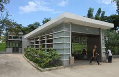 Universidad